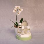 Esencia Pura Orquídeas