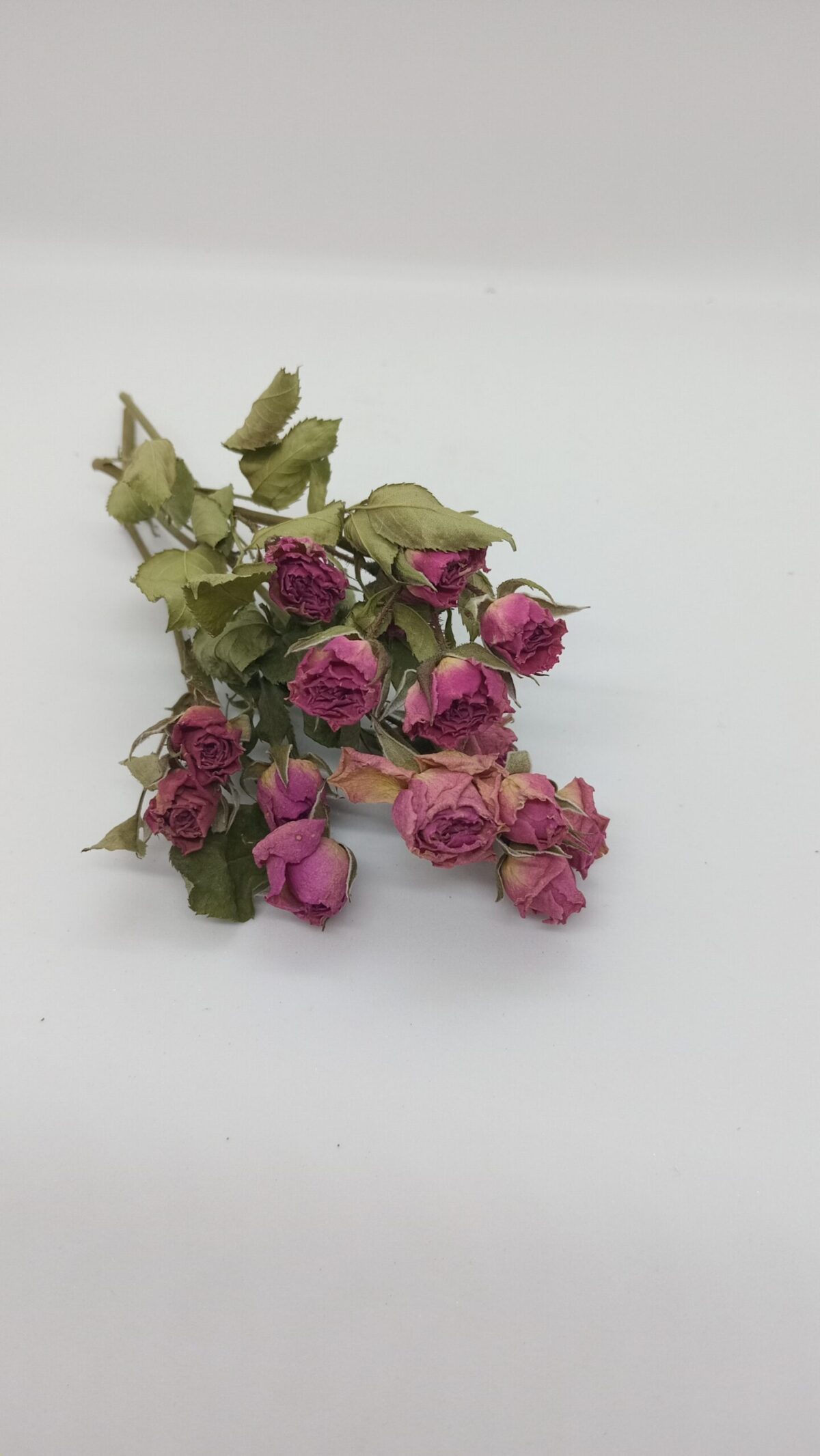 Mini Ramito Mini Rosas - Image 1