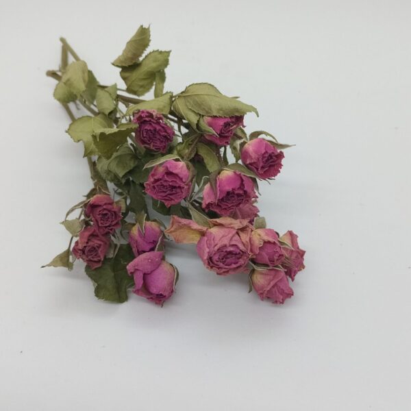 Mini Ramito Mini Rosas